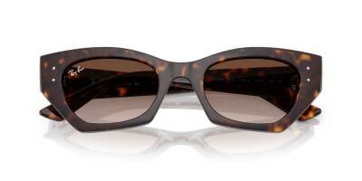 Ray-Ban 0RB4430 13591349 Erkek Gözlük - 4