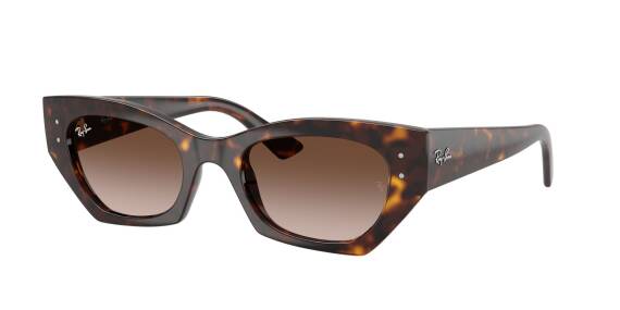 Ray-Ban 0RB4430 13591352 Erkek Gözlük - 1
