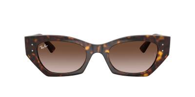 Ray-Ban 0RB4430 13591352 Erkek Gözlük - 2