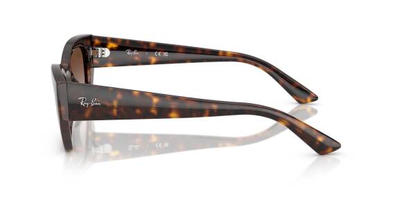 Ray-Ban 0RB4430 13591352 Erkek Gözlük - 5
