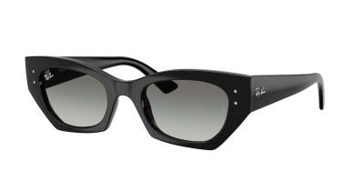 Ray-Ban 0RB4430 66771152 Erkek Gözlük - 1