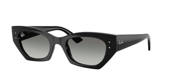 Ray-Ban 0RB4430 66771152 Erkek Gözlük - 1