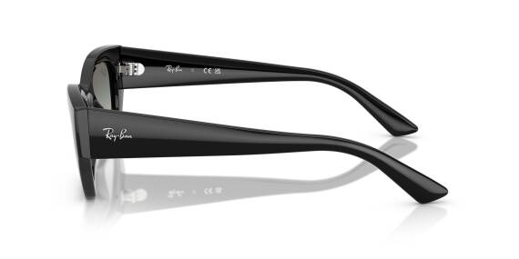 Ray-Ban 0RB4430 66771152 Erkek Gözlük - 5