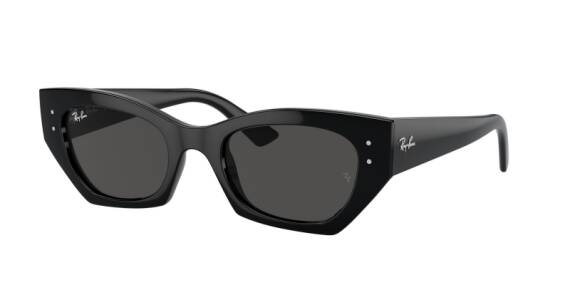 Ray-Ban 0RB4430 66778749 Unisex Güneş Gözlüğü - 1