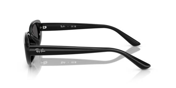 Ray-Ban 0RB4441D 66778753 Erkek Gözlük - 5