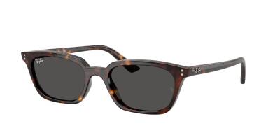 Ray-Ban 0RB4456 13598753 Erkek Gözlük - 1