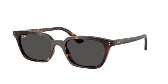 Ray-Ban 0RB4456 13598753 Erkek Gözlük - 1