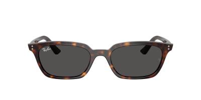 Ray-Ban 0RB4456 13598753 Erkek Gözlük - 2
