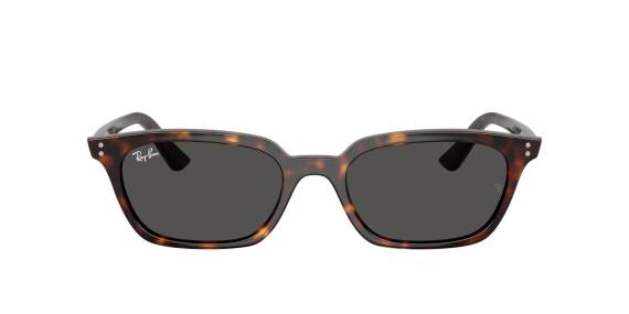 Ray-Ban 0RB4456 13598753 Erkek Gözlük - 2