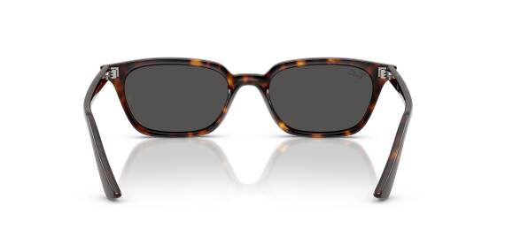 Ray-Ban 0RB4456 13598753 Erkek Gözlük - 3