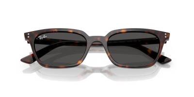 Ray-Ban 0RB4456 13598753 Erkek Gözlük - 4