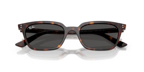 Ray-Ban 0RB4456 13598753 Erkek Gözlük - 4