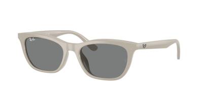 Ray-Ban 0RB4474D - 685887 - 54 NC6 Erkek Güneş Gözlüğü - Ray-Ban