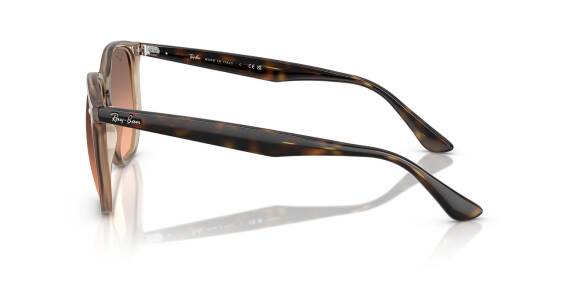 Ray-Ban 0RB4306 67884654 Erkek Gözlük - 5