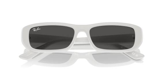 Ray-Ban 0RB4436D 67728755 Erkek Gözlük - 4