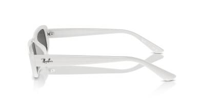 Ray-Ban 0RB4436D 67728755 Erkek Gözlük - 5