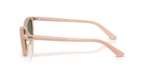 Ray-Ban 0RB4456 68118253 Erkek Gözlük - 5
