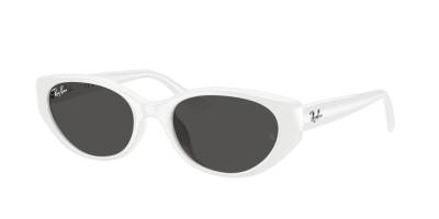 Ray-Ban 0RB4457D 67728755 Erkek Gözlük - 1