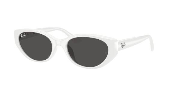 Ray-Ban 0RB4457D 67728755 Erkek Gözlük - 1