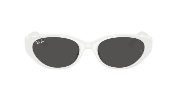 Ray-Ban 0RB4457D 67728755 Erkek Gözlük - 2