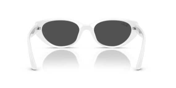 Ray-Ban 0RB4457D 67728755 Erkek Gözlük - 3