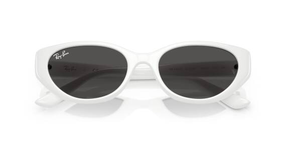 Ray-Ban 0RB4457D 67728755 Erkek Gözlük - 4
