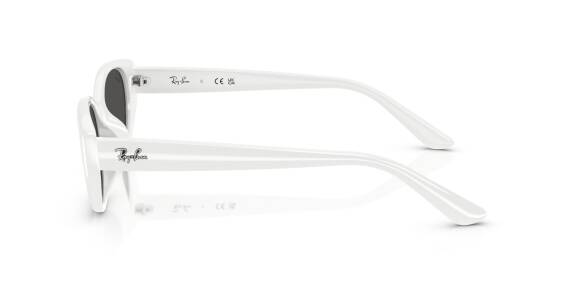 Ray-Ban 0RB4457D 67728755 Erkek Gözlük - 5
