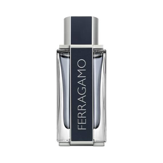 Salvatore Ferragamo Men Edt 100 Ml - 1