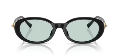 Tiffany 0TF4242D - 8001D9 - 54 NC6 Kadın Güneş Gözlüğü - 2