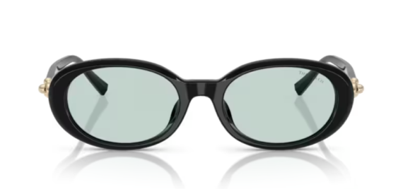 Tiffany 0TF4242D - 8001D9 - 54 NC6 Kadın Güneş Gözlüğü - 2