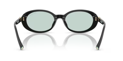 Tiffany 0TF4242D - 8001D9 - 54 NC6 Kadın Güneş Gözlüğü - 4