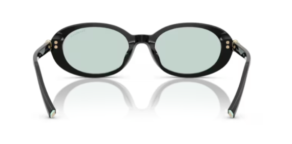 Tiffany 0TF4242D - 8001D9 - 54 NC6 Kadın Güneş Gözlüğü - 4