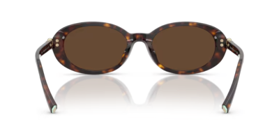 Tiffany 0TF4242D - 80153G - 54 NC6 Kadın Güneş Gözlüğü - 4
