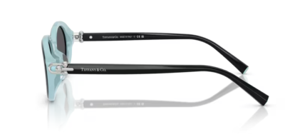 Tiffany 0TF4242D - 8055S4 - 54 NC6 Kadın Güneş Gözlüğü - 3