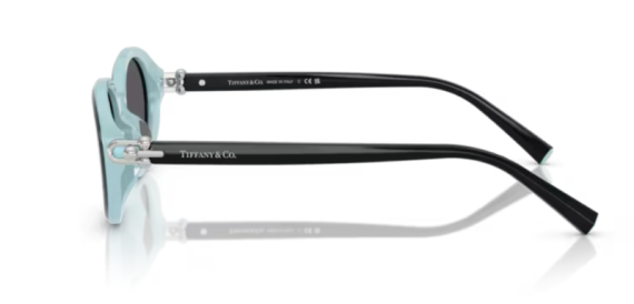 Tiffany 0TF4242D - 8055S4 - 54 NC6 Kadın Güneş Gözlüğü - 3