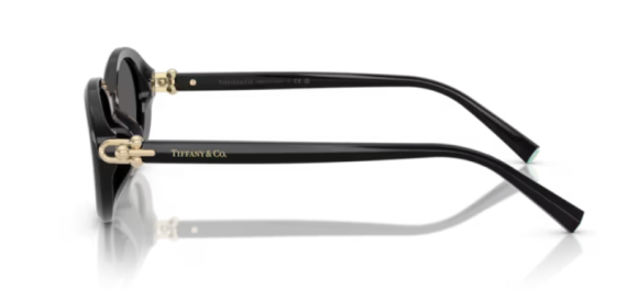 Tiffany 0TF4242D - 8361S4 - 54 NC6 Kadın Güneş Gözlüğü - 3
