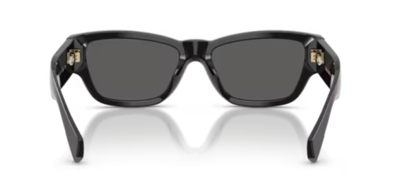 Tiffany 0TF4265U - 8001S4 - 54 NC6 Kadın Güneş Gözlüğü - 4