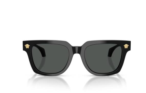 Versace 0VE4510U - GB1/87 - 52 NC6 Erkek Güneş Gözlüğü - 3