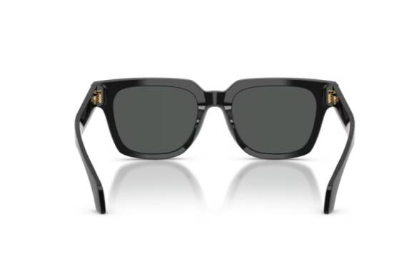 Versace 0VE4510U - GB1/87 - 52 NC6 Erkek Güneş Gözlüğü - 4