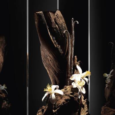 Yves Saint Laurent Myslf Le Parfum Edp 60 Ml Erkek Parfüm - 4